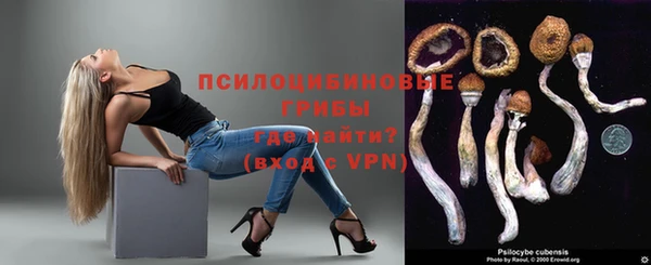 мяу мяу мука Алзамай