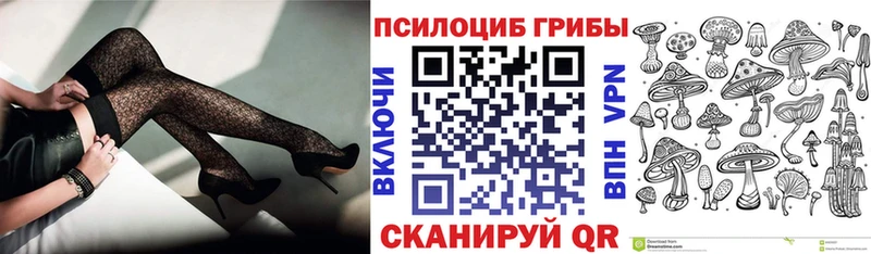 Галлюциногенные грибы Psilocybine cubensis  гидра онион  Чайковский  закладки 